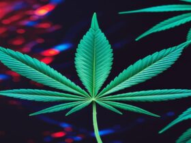 Imagem gerada por IA para ilustrar o conteúdo da Hempadão˜.