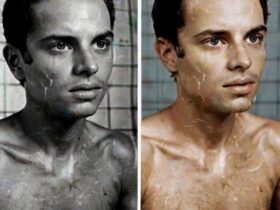 Imagem gerada por IA para ilustrar o conteúdo da Hempadão˜.